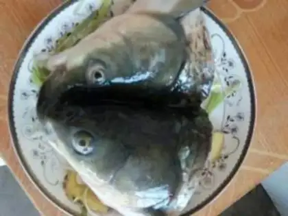 Make Pepper chopper head step 1