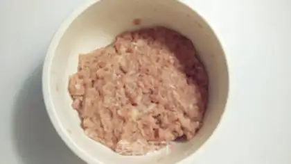Make Toon animal burger step 14