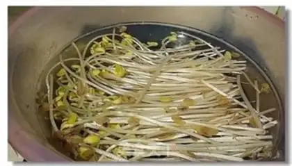Make A boiled dragonfish step 4