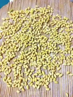 Make Peas step 1