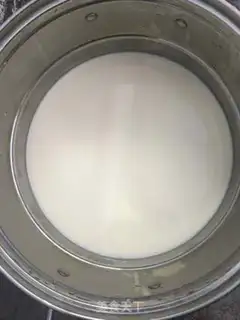 Make Tofu brain step 0