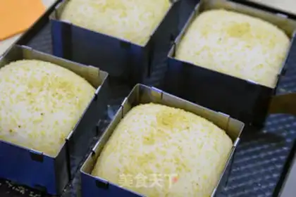 Make Panini bread step 9