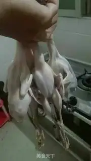 Make White-faced rooster step 0