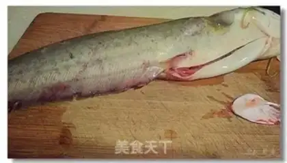 Make The catfish step 1