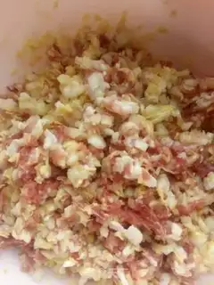 Make Beanie and lamb dumplings step 4