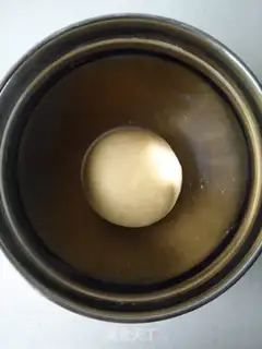 Make The seed of the whole intestines step 0