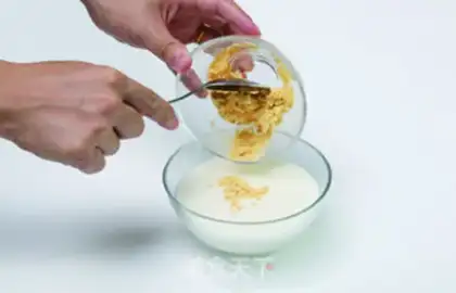 Make Fresh walnut yogurt mousse step 2