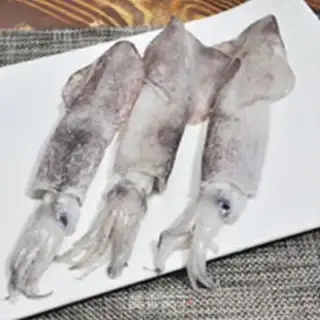 Make Home plate squid step 0