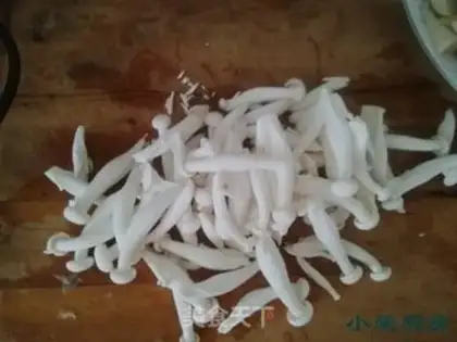 Make White Jade Bacillus step 4