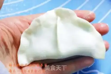 Make Pork dumplings step 8