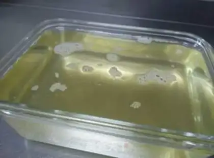 Make Get the pig oil step 25