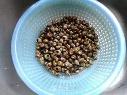 Make Soy sauce step 1