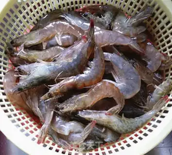Make Salt water to shrimp step 1