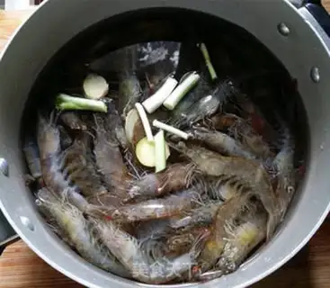 Make Salt water to shrimp step 2
