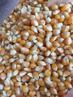 Make Homemade popcorn step 0