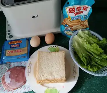 Make Ham cheese sandwich step 0