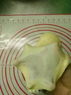 Make Pineapple bag step 4