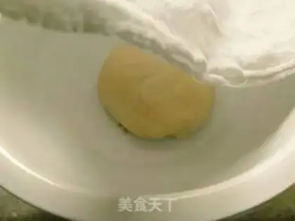 Make Pineapple bag step 6