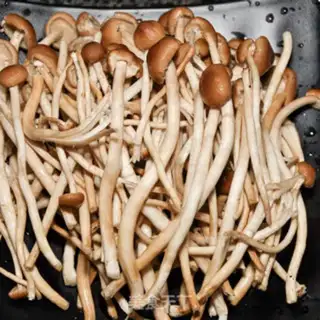 Make A dry pot of tea and mushrooms step 1