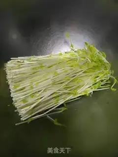 Make Cool bean seed step 0