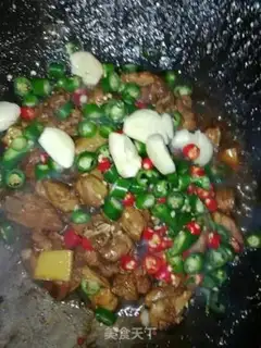 Make Spicy beer duck step 9