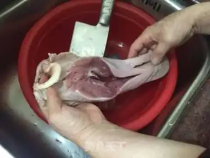 Make Pork tongue tea and mushroom soup step 4