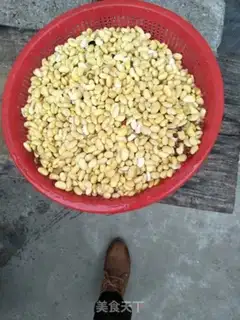 Make Tofu flower practices step 0