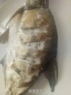 Make Quite a fish step 0