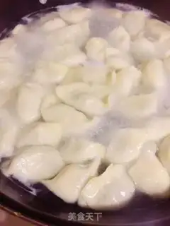 Make Pork dumplings step 5