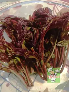 Make Spring sprouts step 0