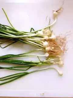 Make Wild onion meatloaf step 0