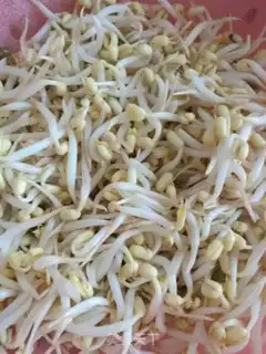 Make Scrambled green bean sprouts step 0
