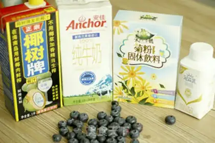 Make Blueberry coconut milkshake step 0