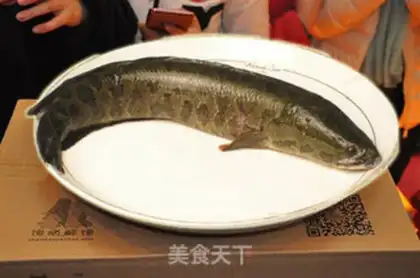 Make The white and black fish step 0