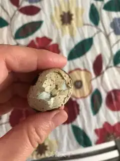 Make Soy eggs step 6