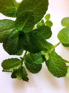 Make Mint strawberry shake step 0