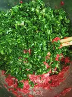 Make Beef dumplings step 13