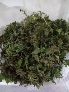 Make Zipperballs step 0