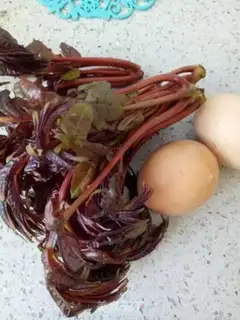 Make Scrumptious eggs step 0