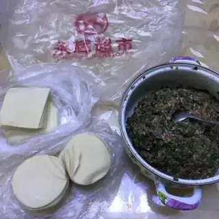 Make Pork dumplings step 7