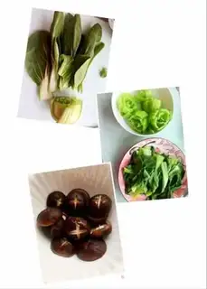 Make Flower mushrooms step 0