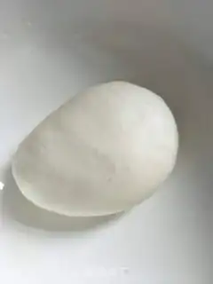 Make The dumplings step 0
