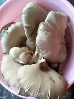 Make Blow mushrooms step 0