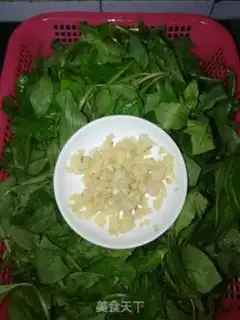 Make Garlic sprouts step 0