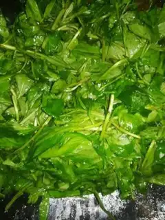Make Garlic sprouts step 2