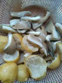 Make Weed mushrooms step 0