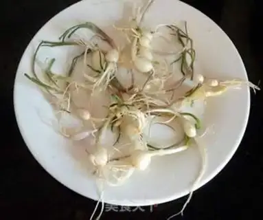 Make A piece of garlic and soy sauce step 0