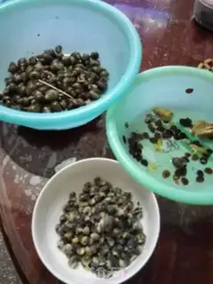 Make Maran screws and meat step 5
