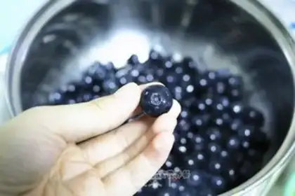 Make Blueberry jam step 0