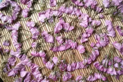 Make Salted cherry blossoms step 10